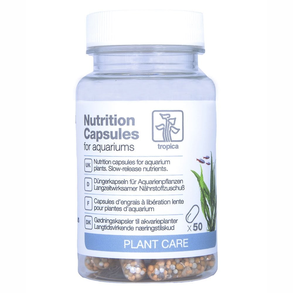 Nutrition Capsules
