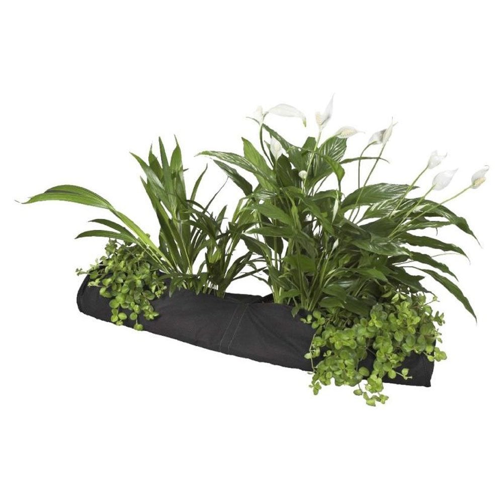 Plant Sock 10 x 80cm