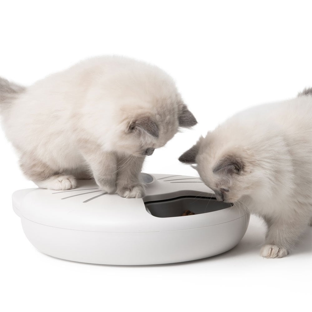 Pixi Smart 6 Meal Feeder