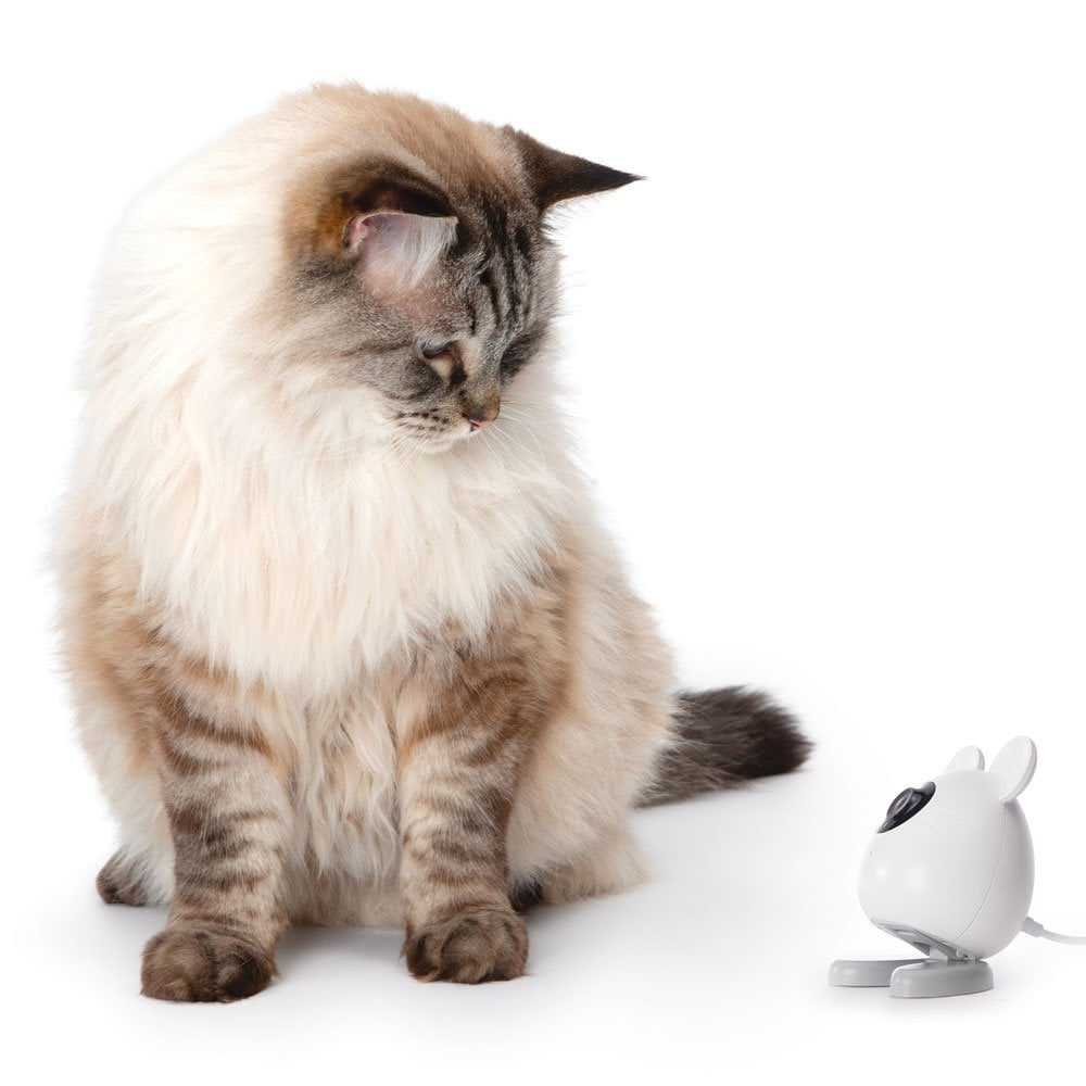 Pixi Smart Mouse Camera