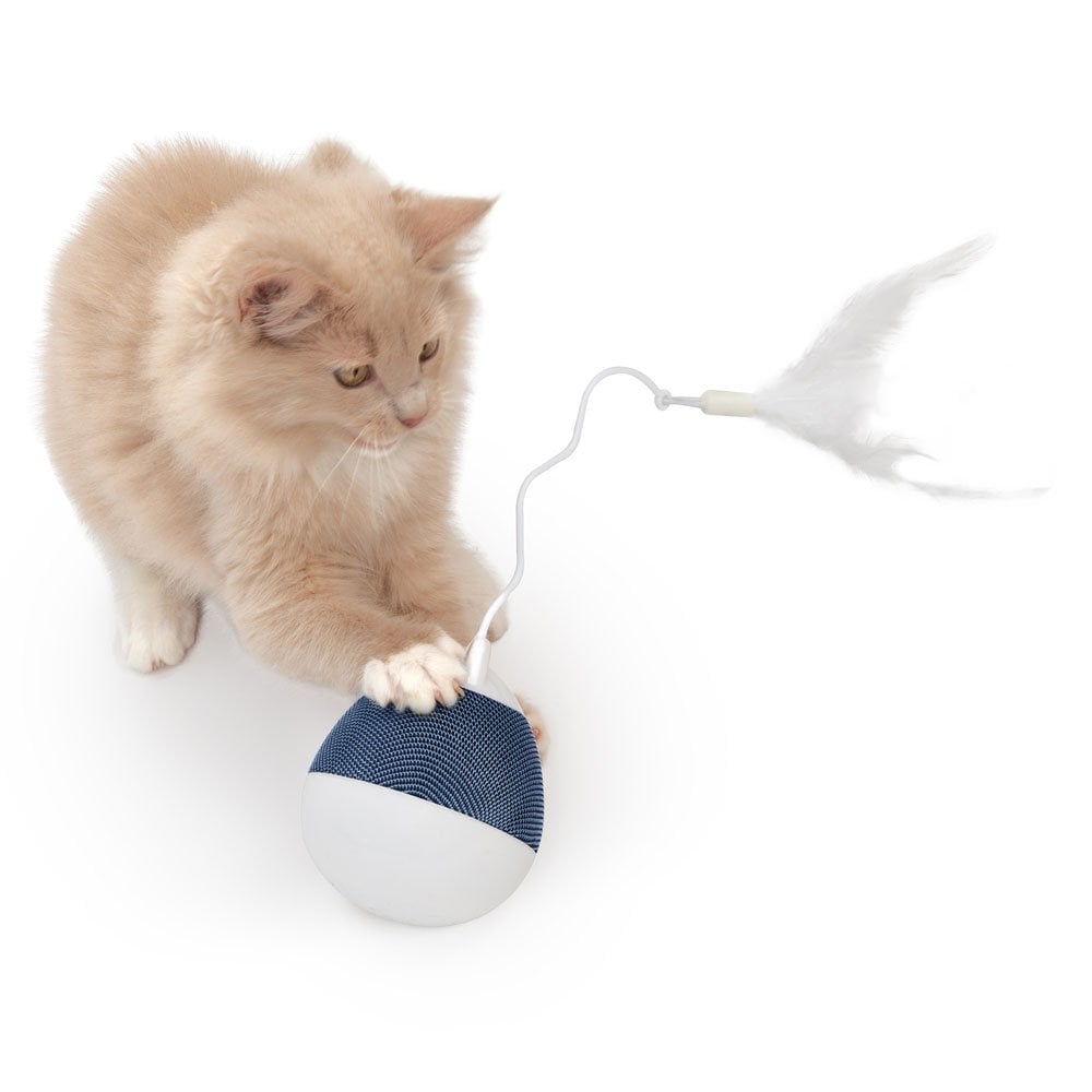 Pixi Spinner Cat Toy - White & Blue