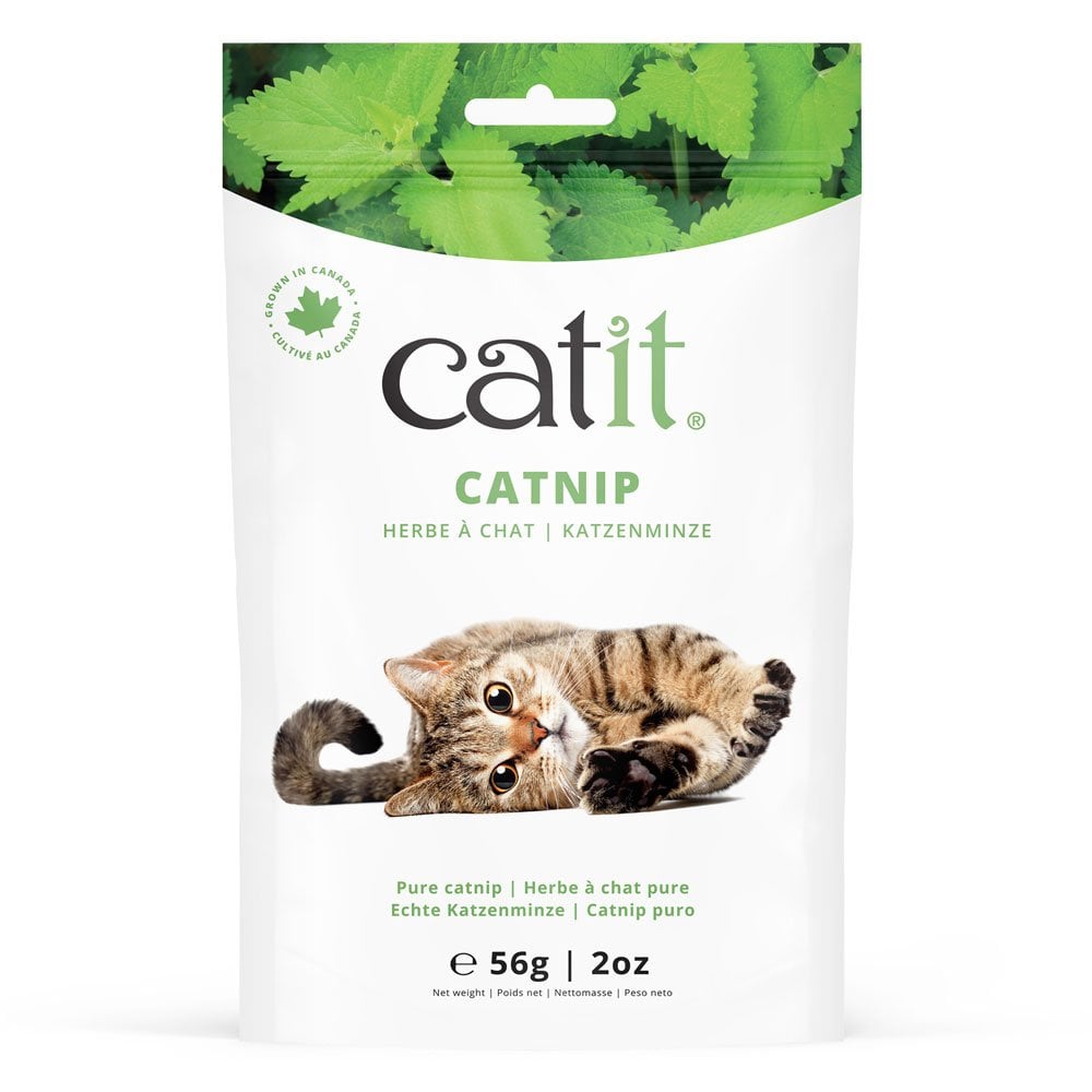 Catnip