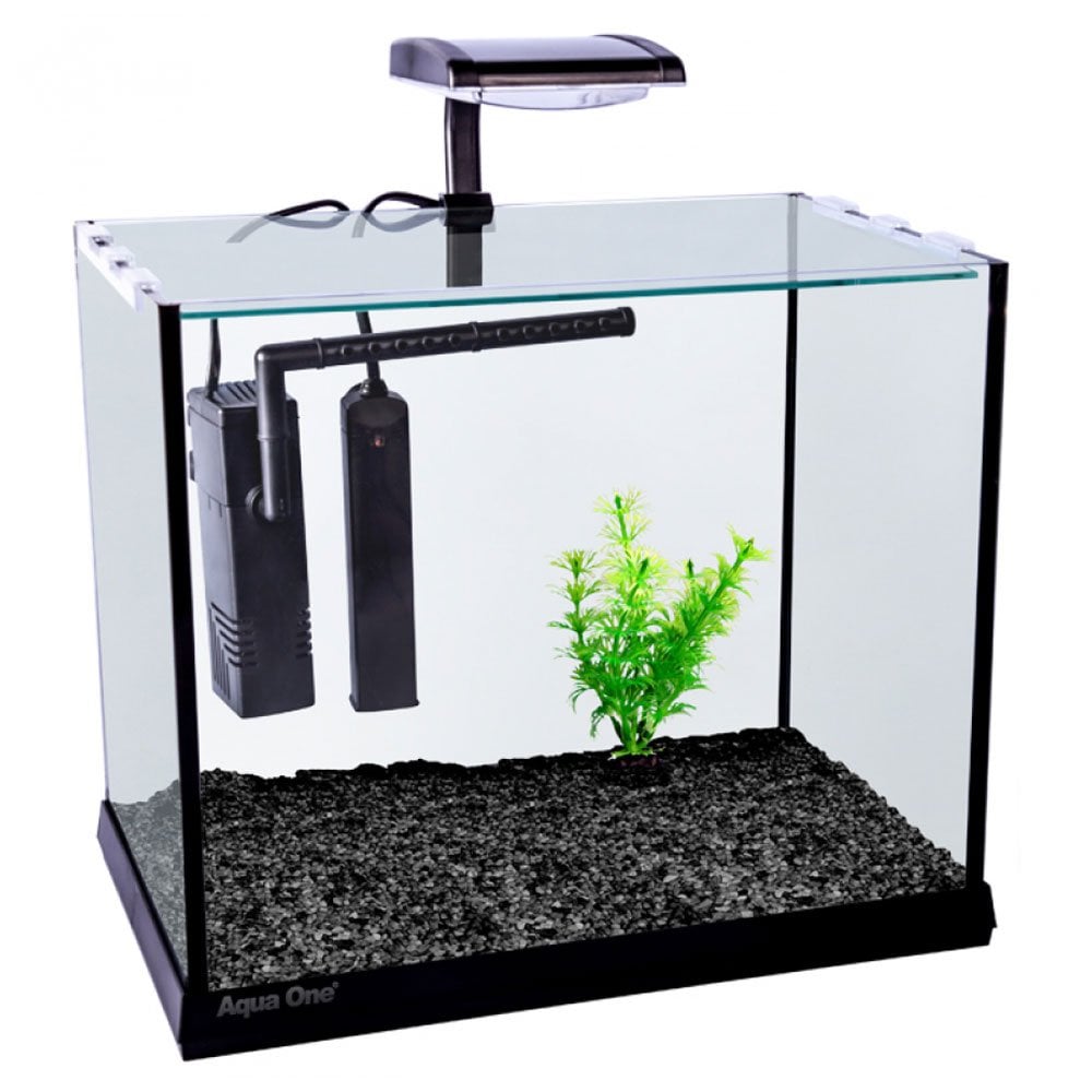 Betta Oasis Aquarium 13L