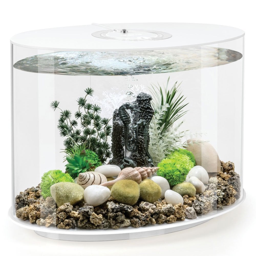 Biorb Loop 30 Aquarium Mcr Led White - Pond Planet