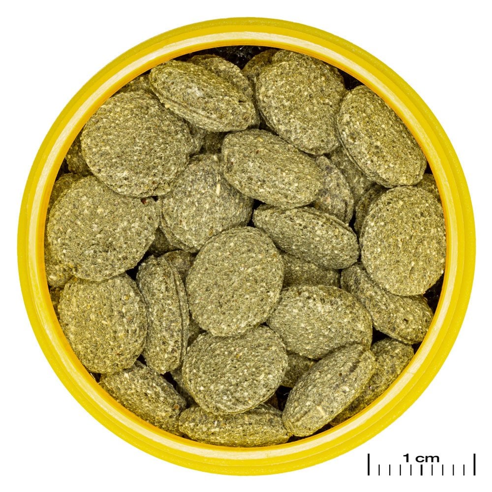 ProNovo Pleco Wafer M