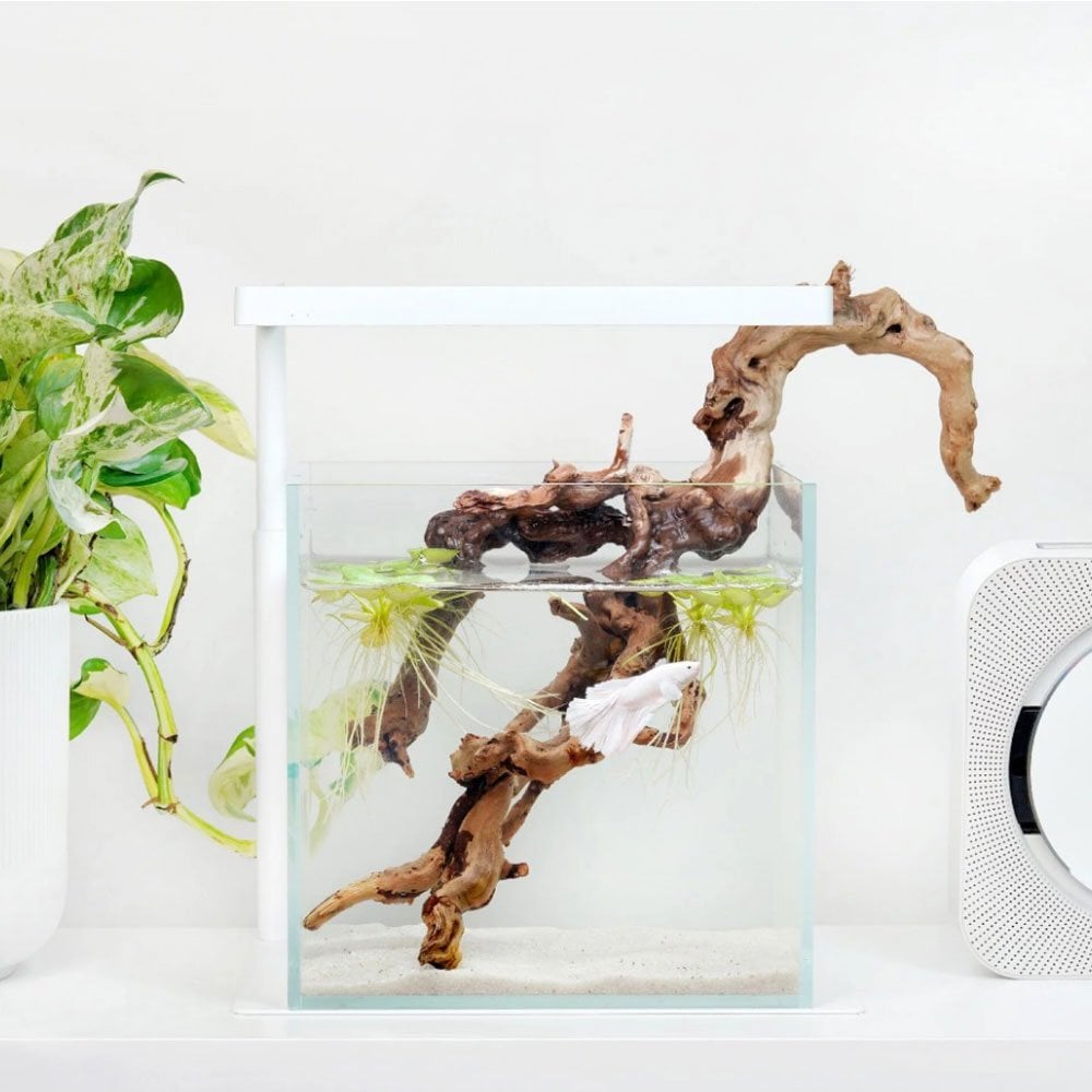 Flat Nano+ LED With Stand - White