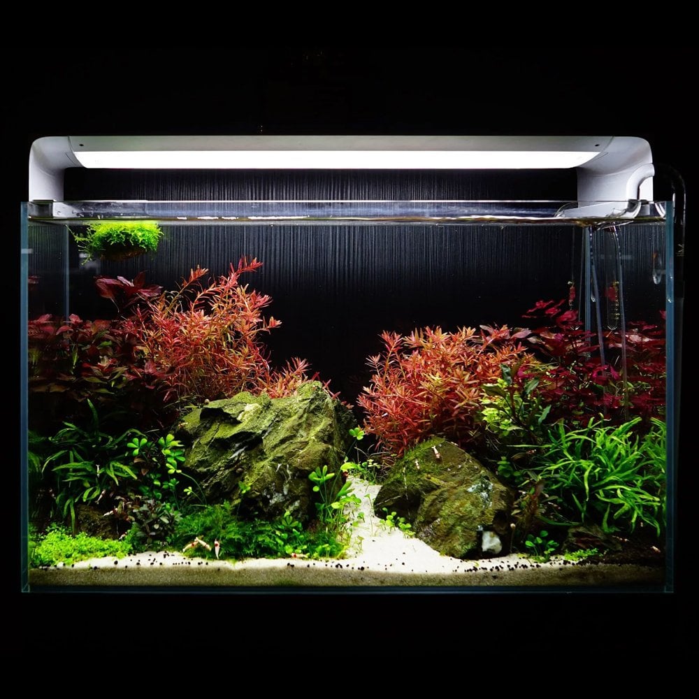 Flat One+ LED (YW) Standard 60cm