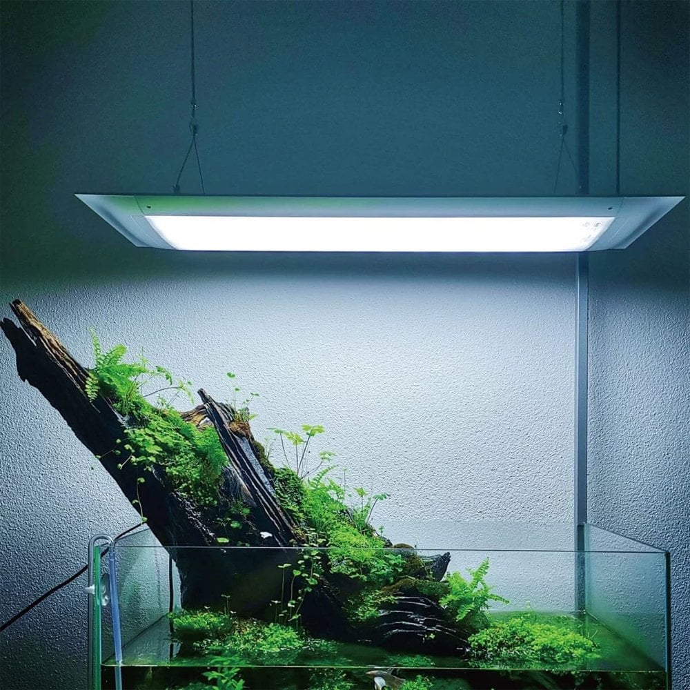 Flat One+ LED (YW) Pendant 60cm