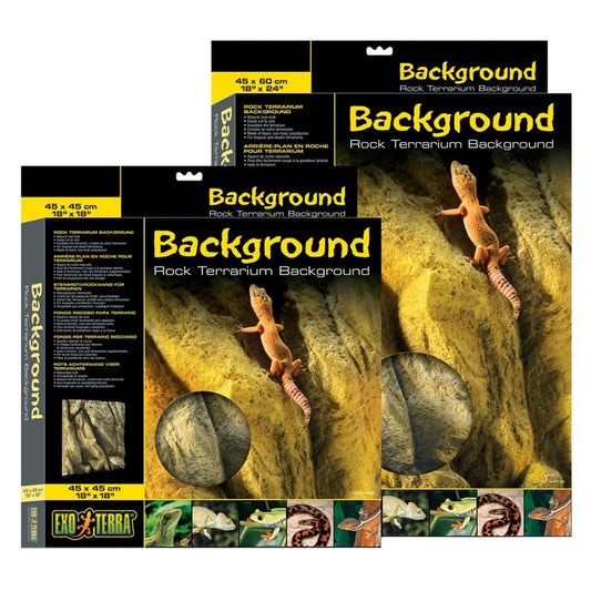 Rock Terrarium Background