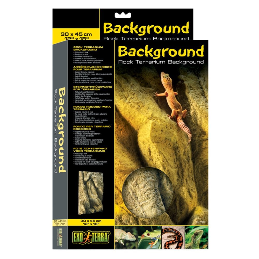 Rock Terrarium Background