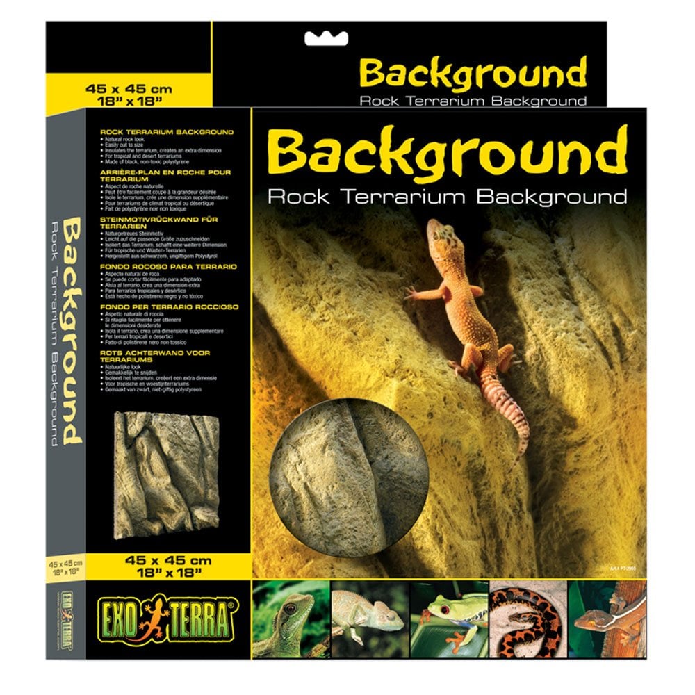 Rock Terrarium Background