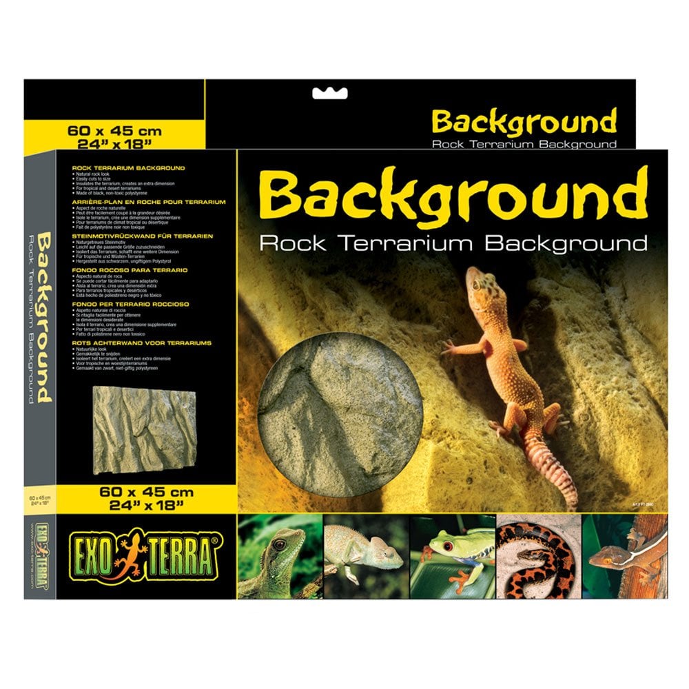 Rock Terrarium Background