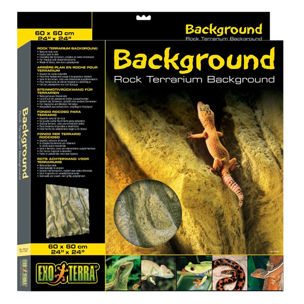 Rock Terrarium Background