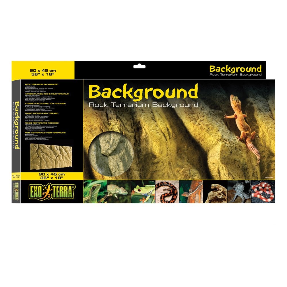 Rock Terrarium Background