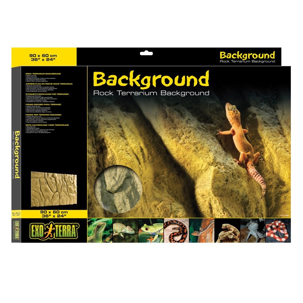 Rock Terrarium Background