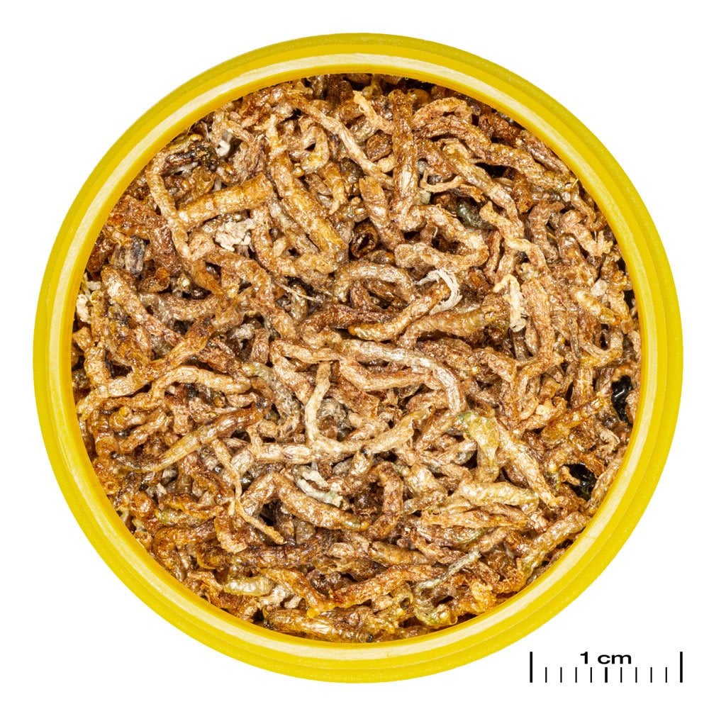 ProNovo Fil