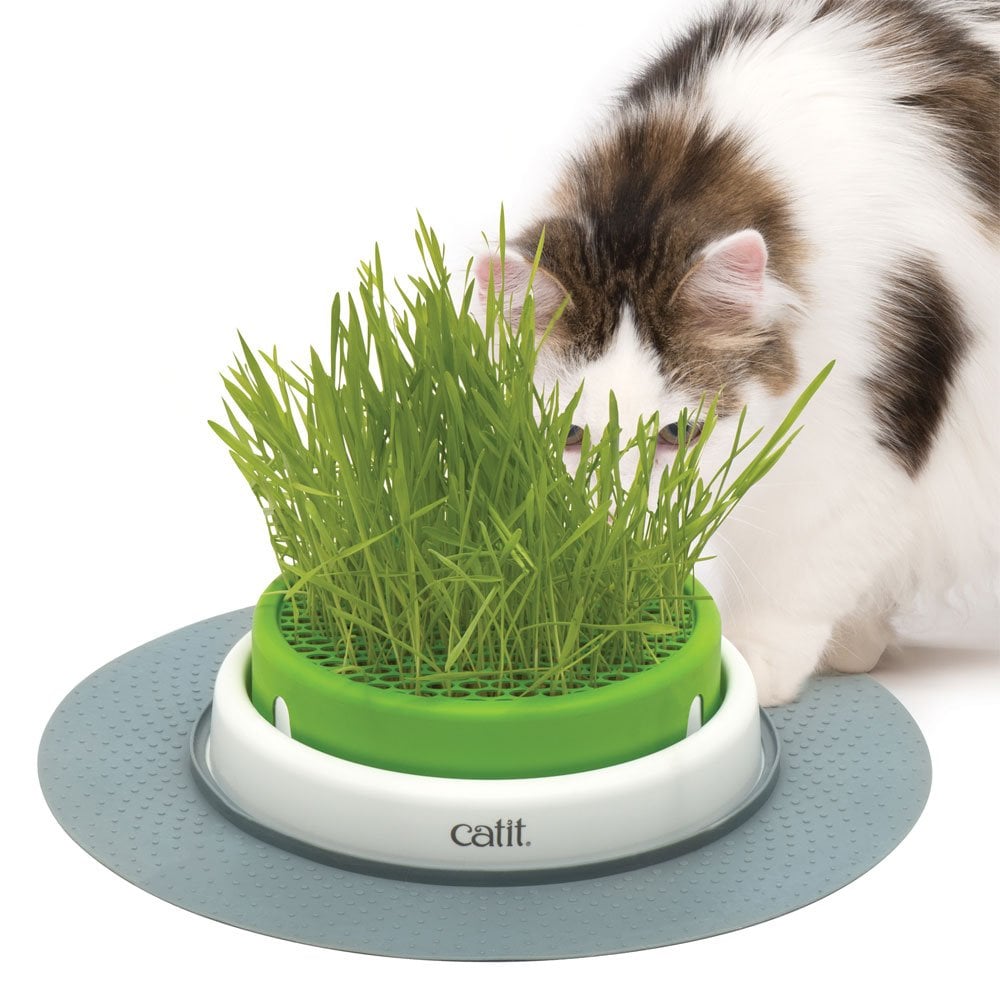 Senses 2.0 Grass Planter