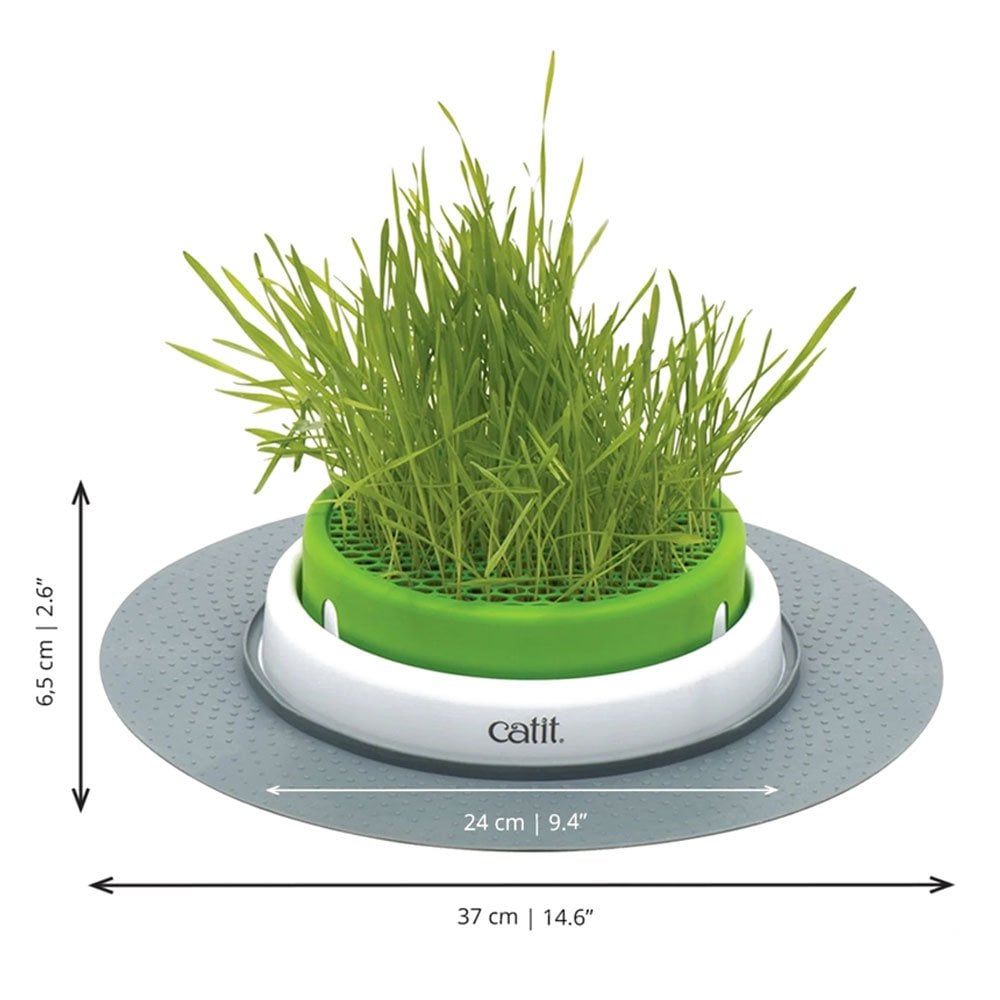 Senses 2.0 Grass Planter