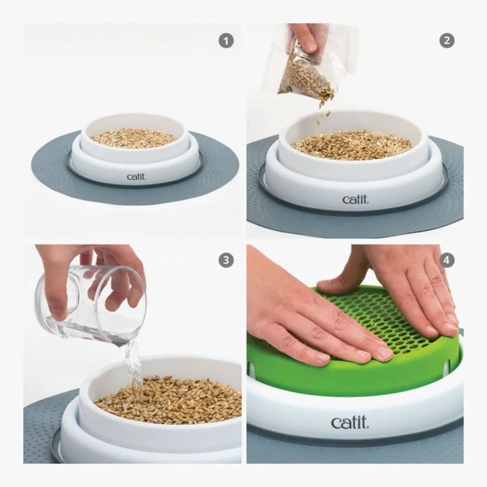 Senses 2.0 Grass Kit (3pk)