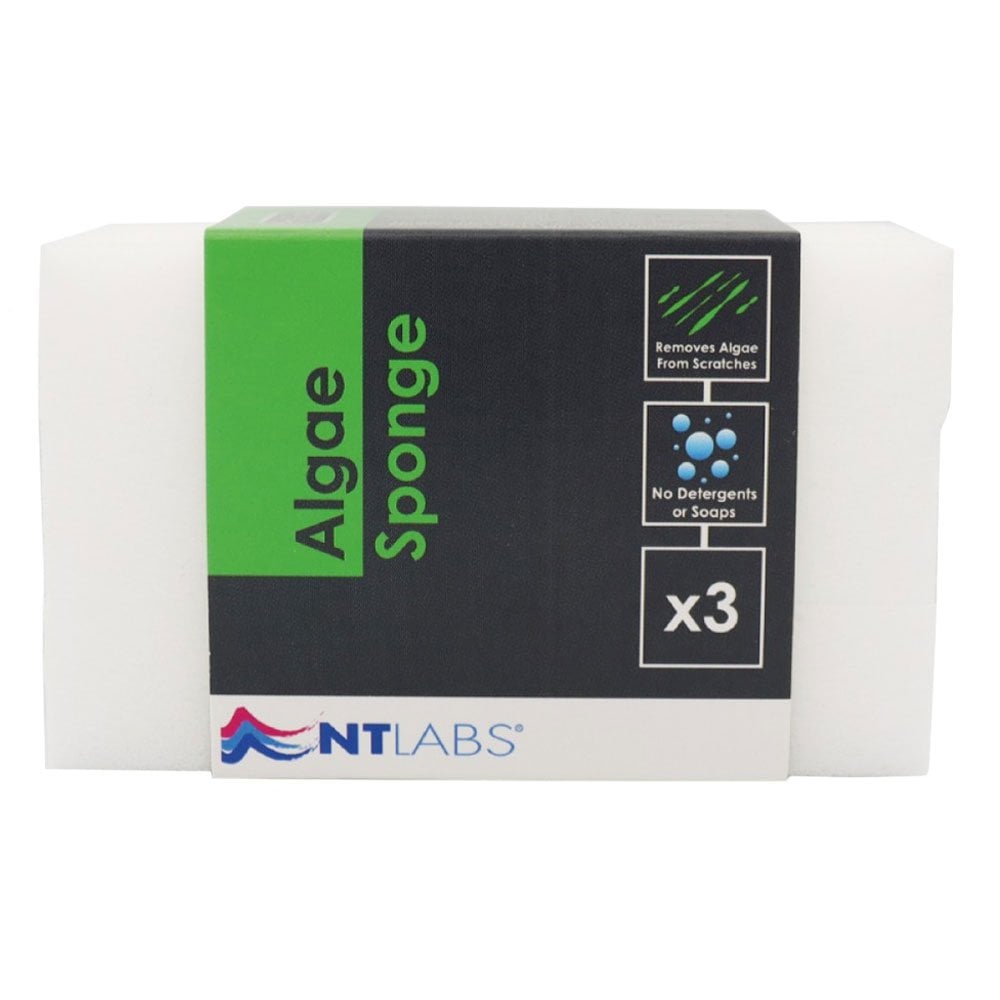 ProCare Algae Sponge (3pk)