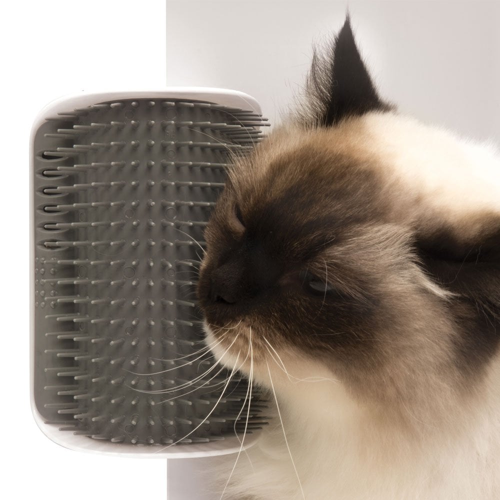 How to Make a Cat Self Groomer: Easy DIY Tips for Happy Cats