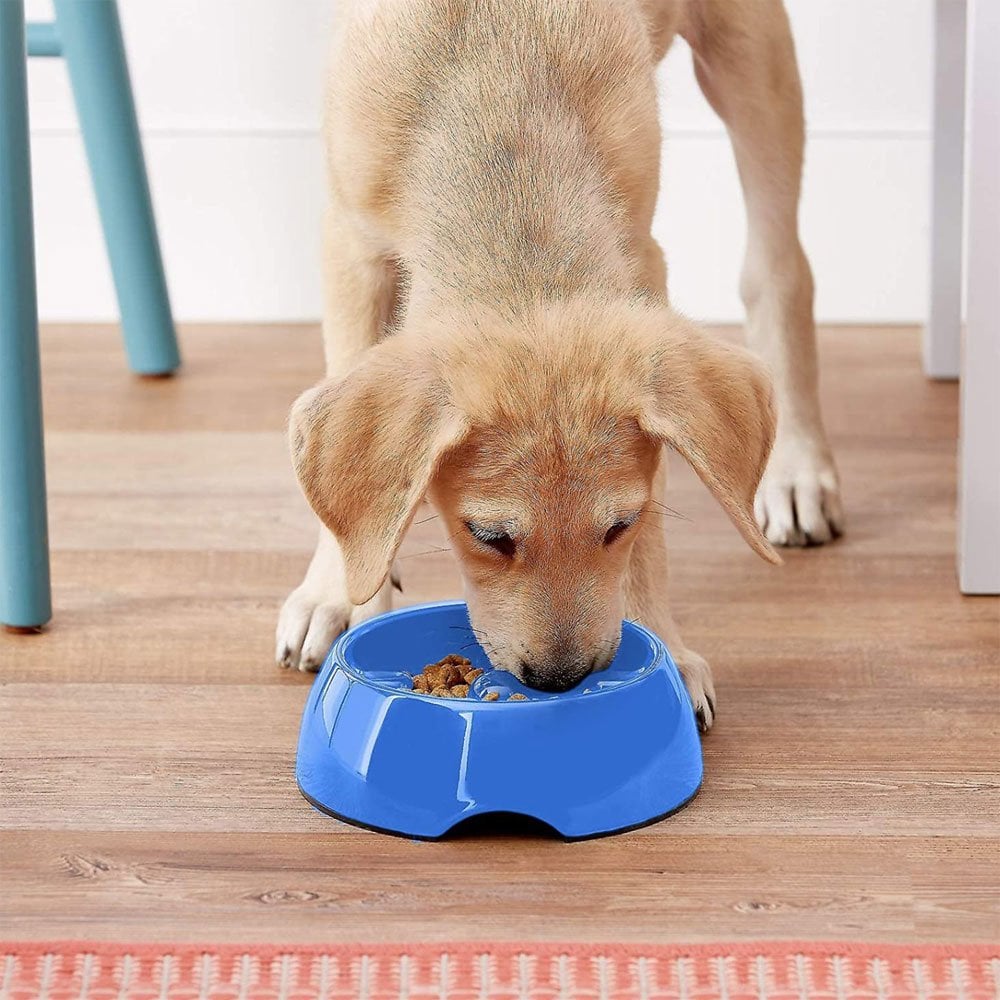 Anti-Gulping Bowl Small Blue 300ml