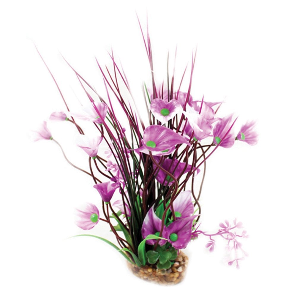 Vibrance Purple Villarsia/Hygrophila 20cm