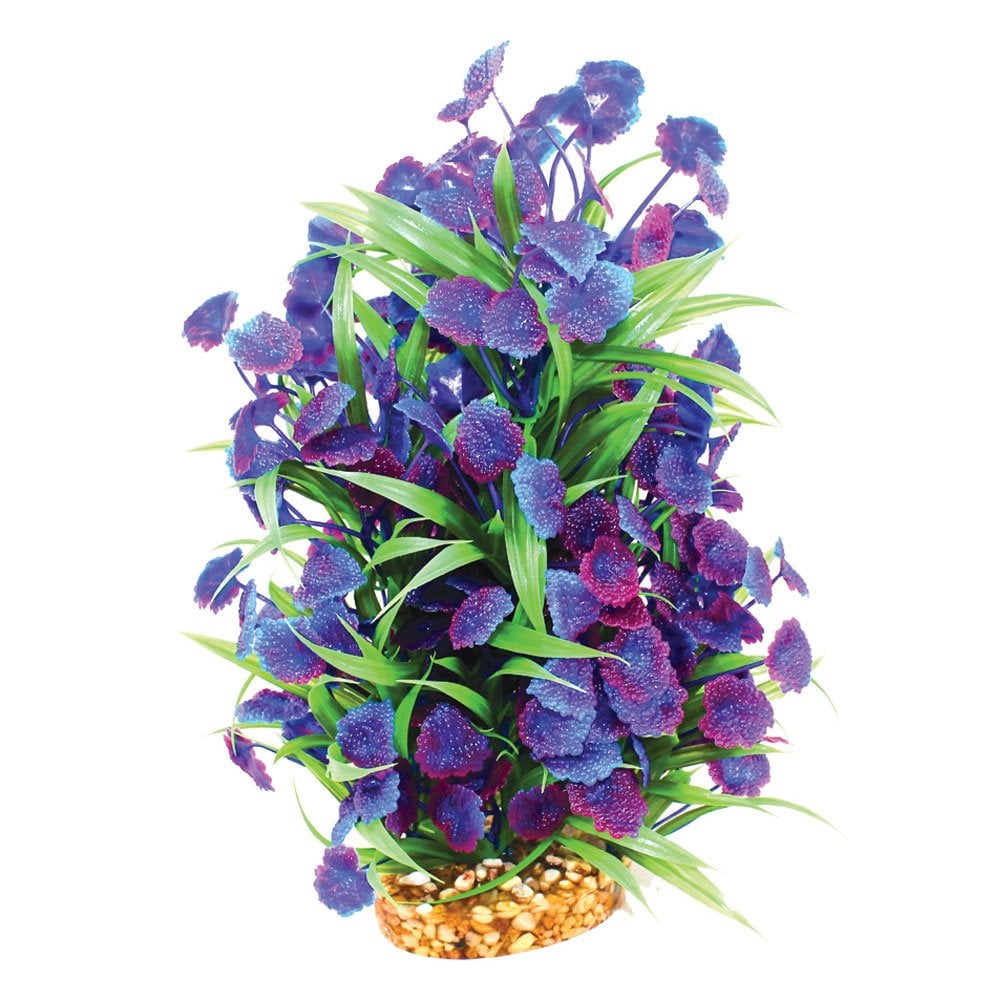 Vibrance Blue Centauria 30cm