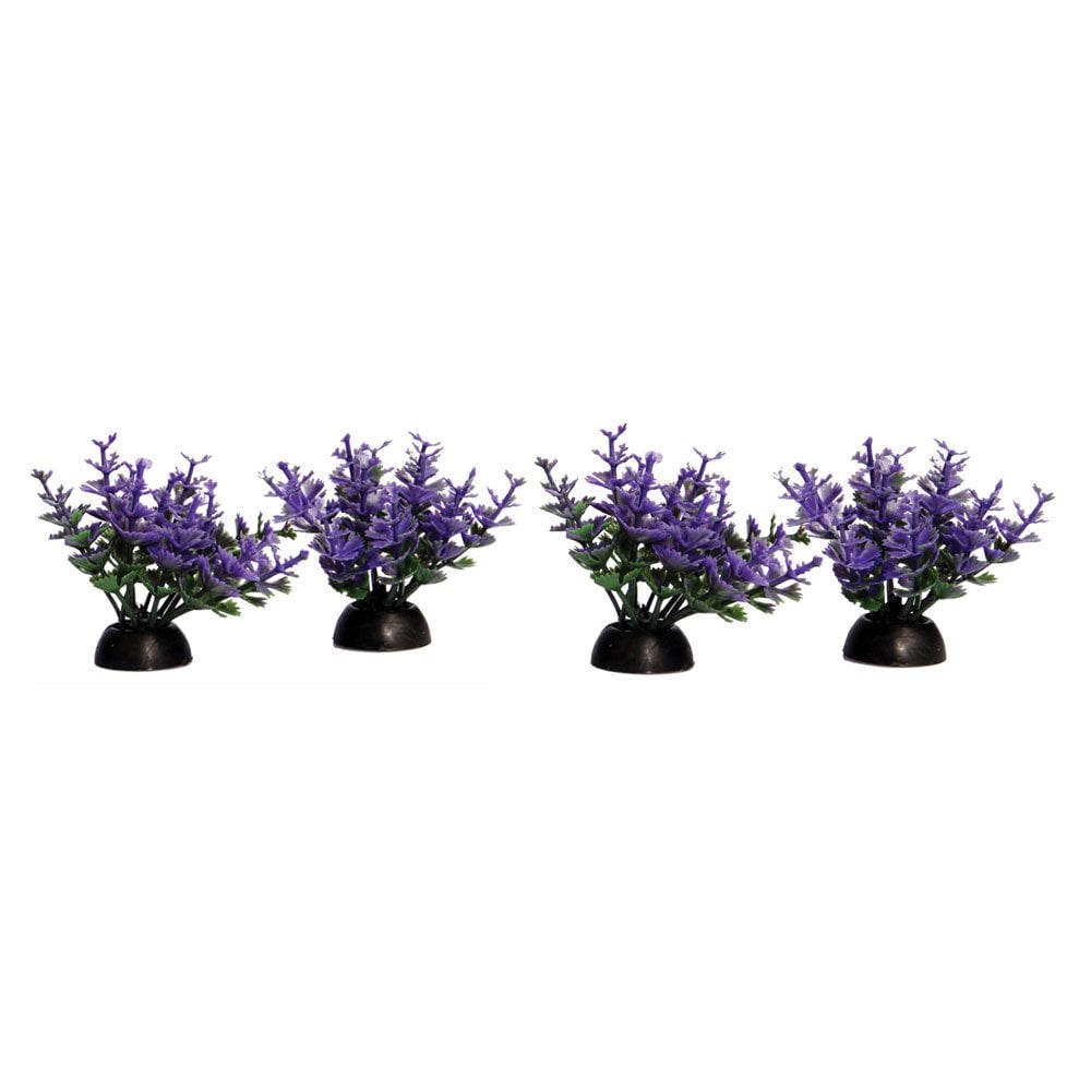 Ecoscape Foreground Purple Catspaw (4pk)