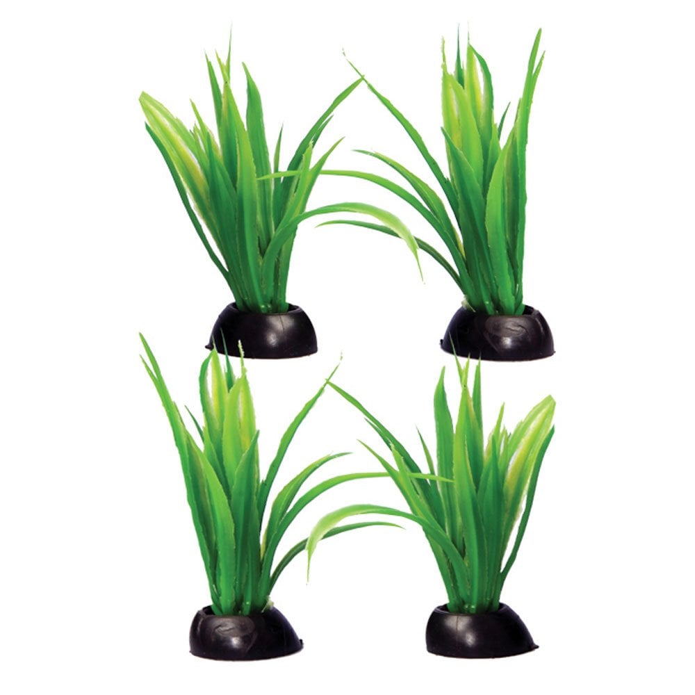 Ecoscape Foreground Green Lilaeopsis (4pk)