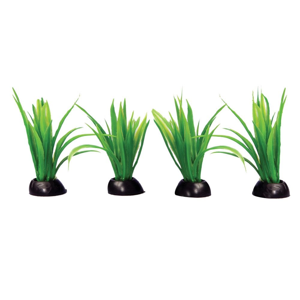 Ecoscape Foreground Green Lilaeopsis (4pk)