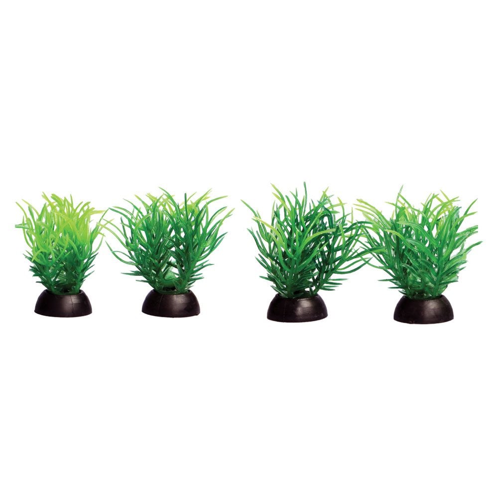 Ecoscape Foreground Green Ricca (4pk)
