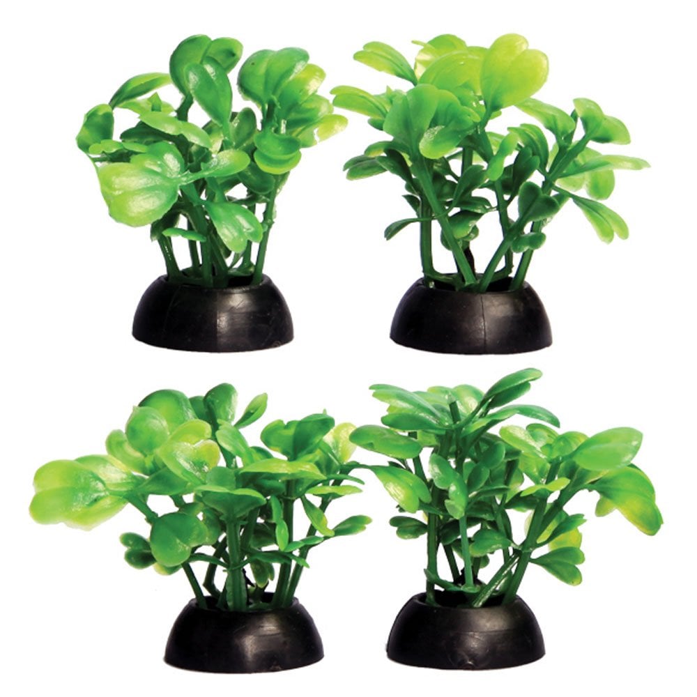 Ecoscape Foreground Green Lobelia (4pk)