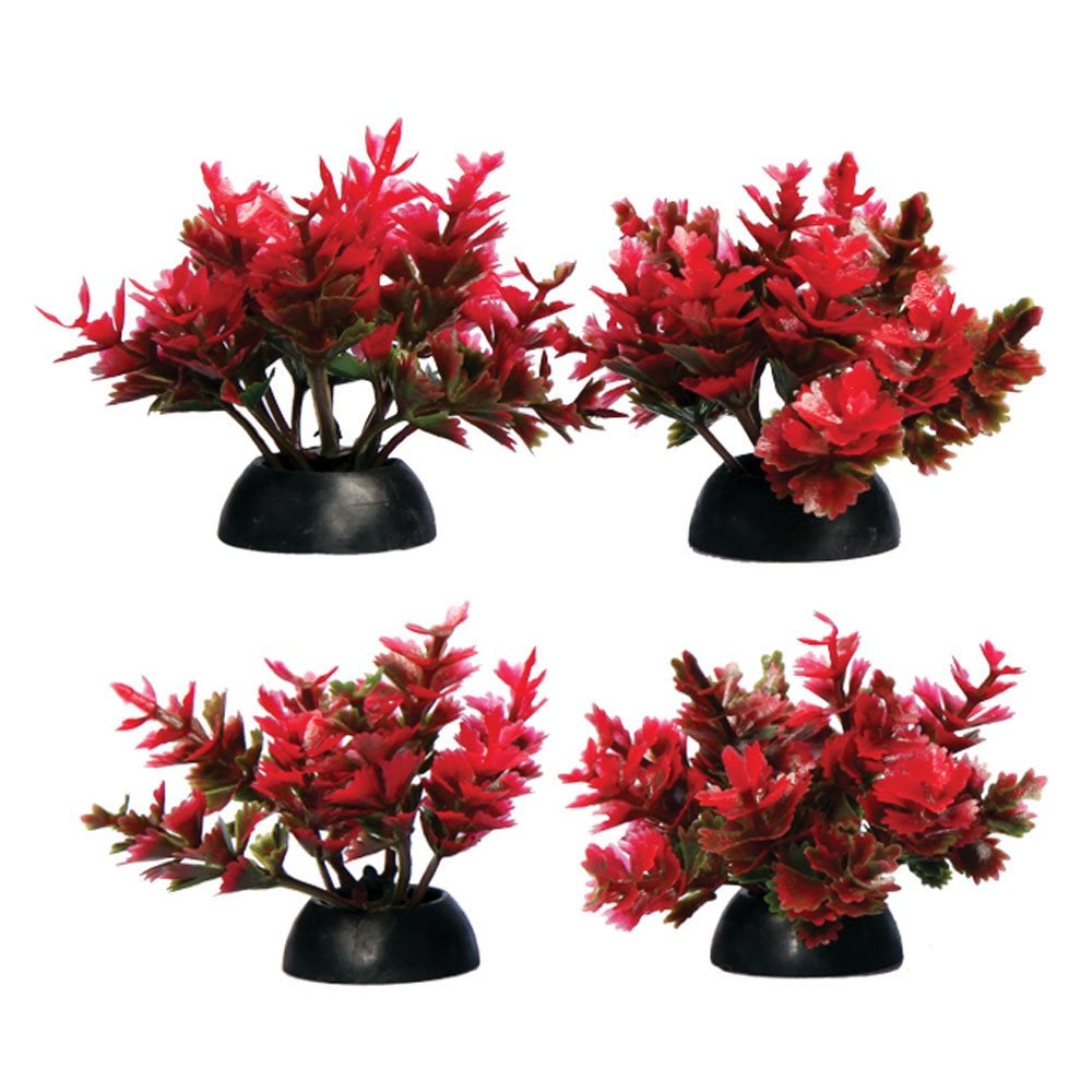 Ecoscape Foreground Red Catspaw (4pk)