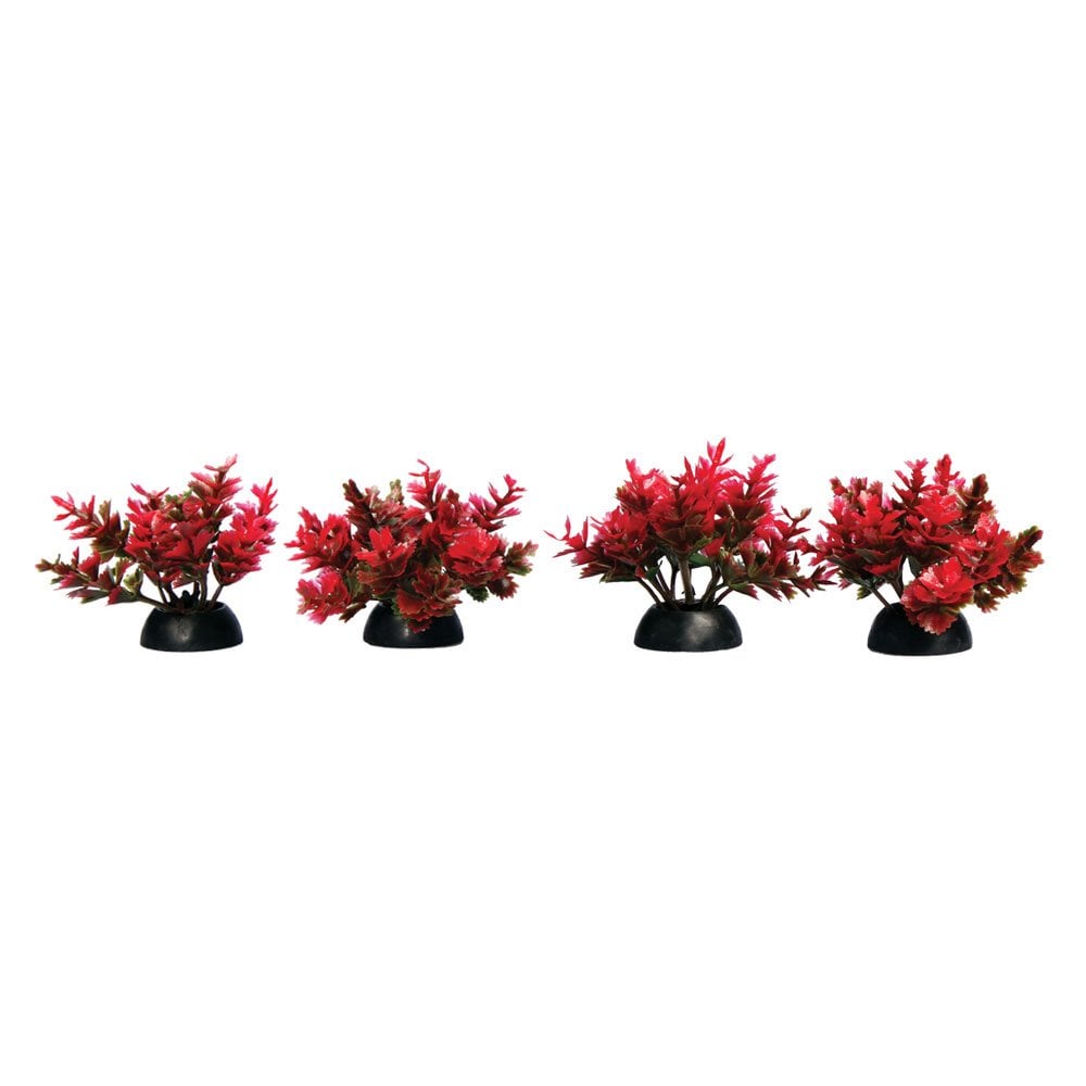 Ecoscape Foreground Red Catspaw (4pk)