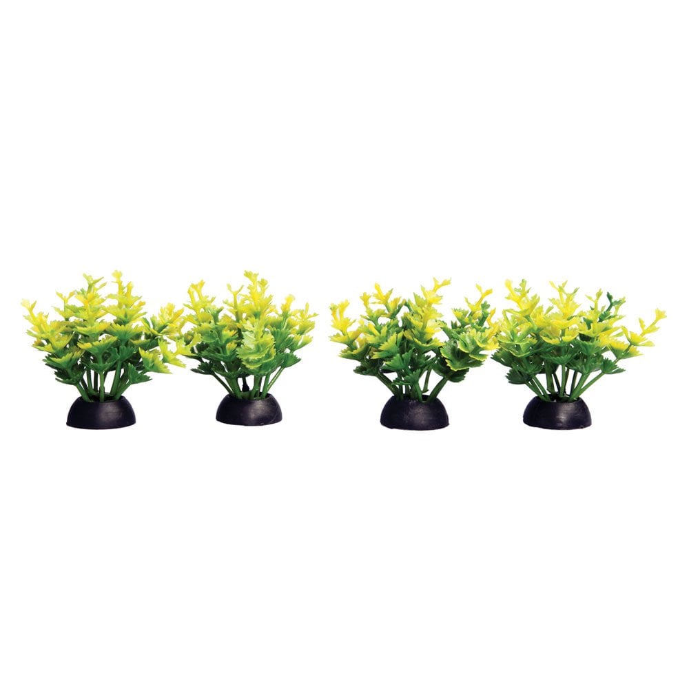 Ecoscape Foreground Yellow Catspaw (4pk)