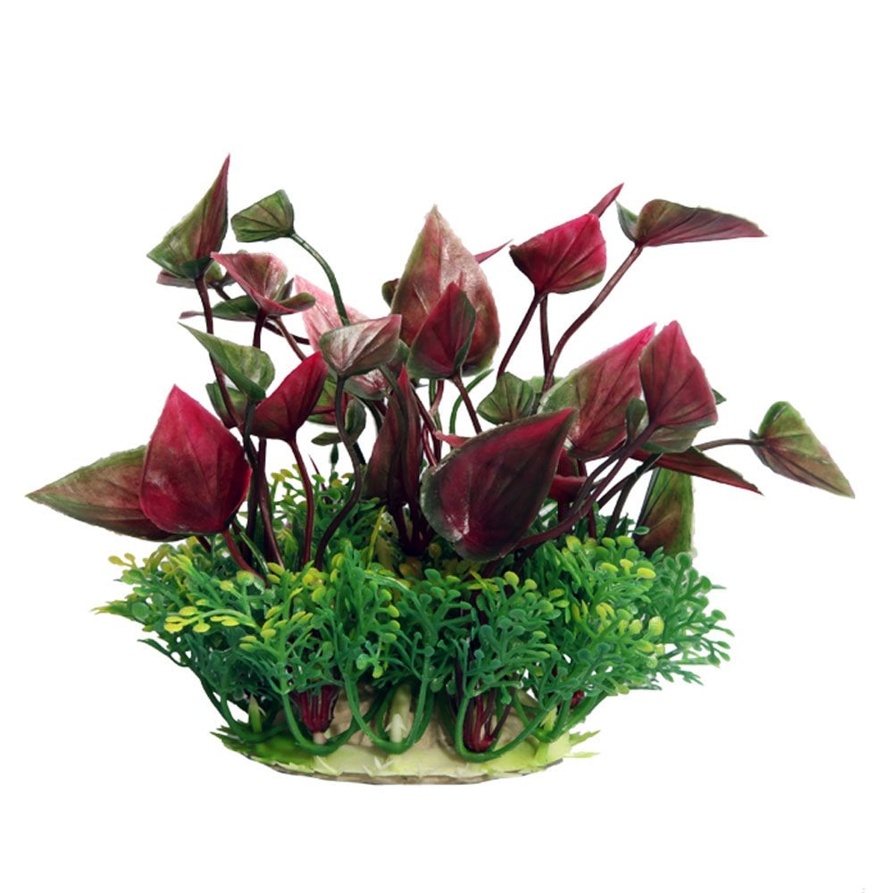 Ecoscape Red Lily 10cm