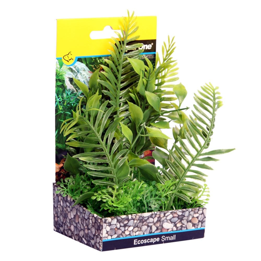Ecoscape Green Fern 10cm