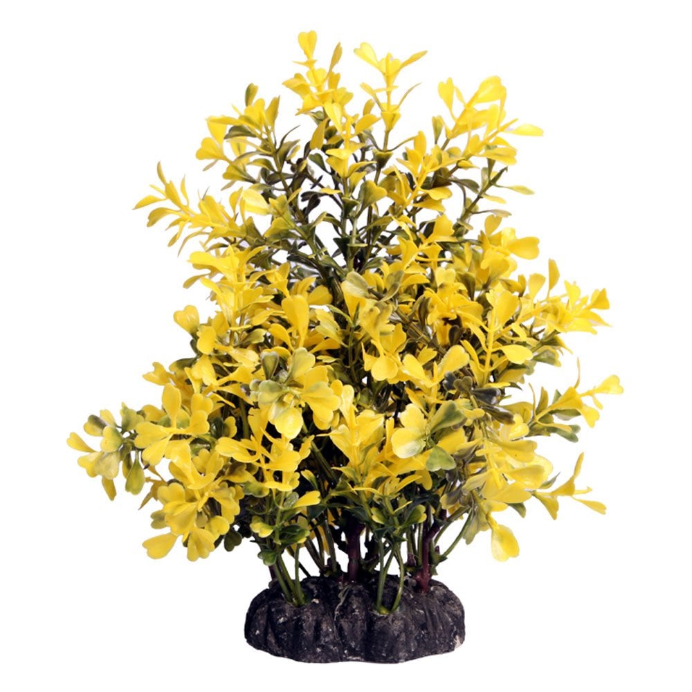 Ecoscape Yellow Japanese Box 20cm