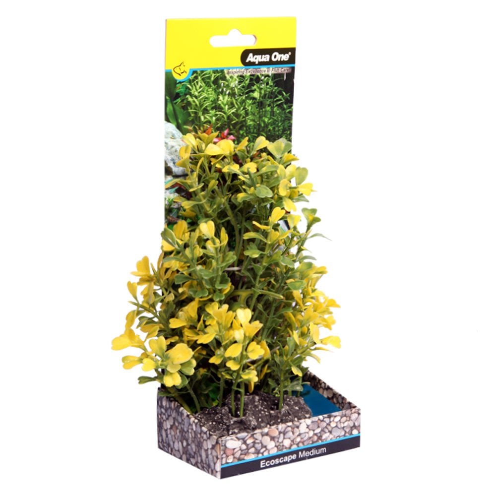 Ecoscape Yellow Japanese Box 20cm