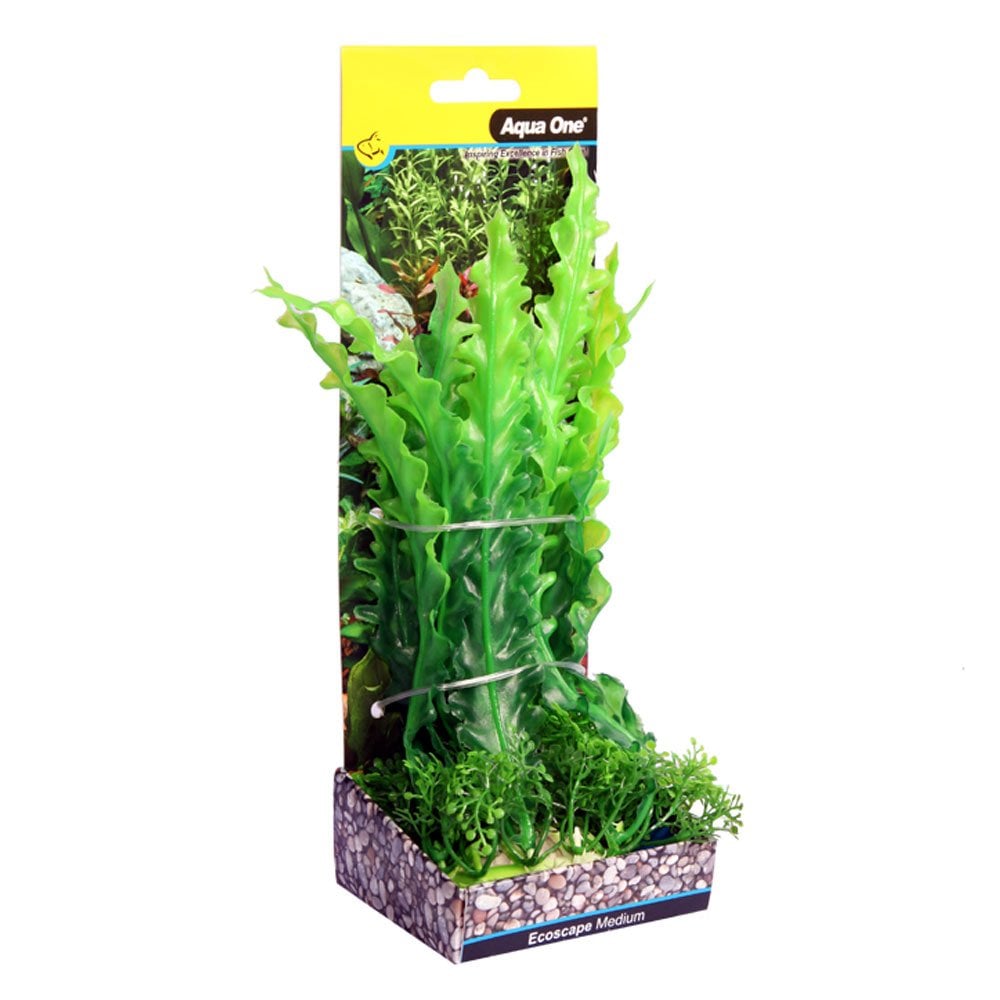 Ecoscape Green Ruffled Lace Plant 20cm