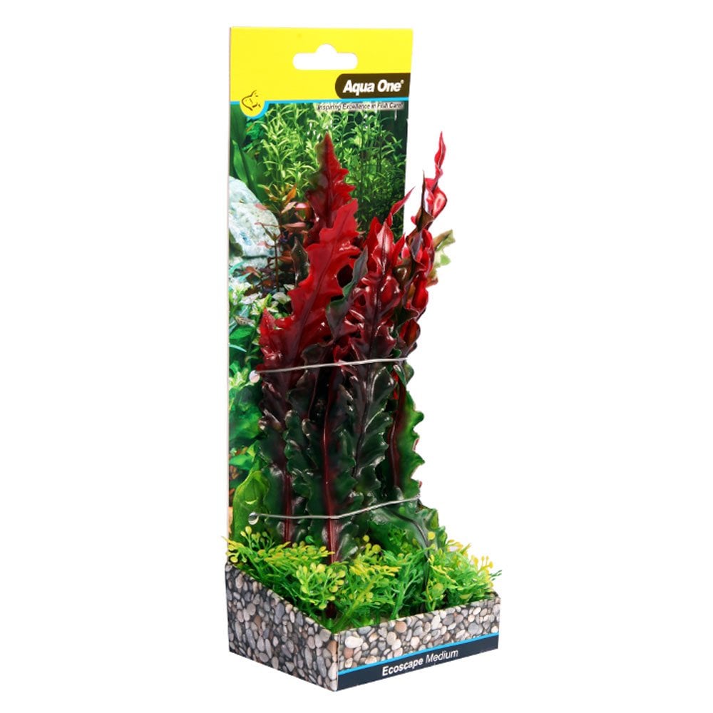 Ecoscape Red Ruffled Lace Plant 20cm