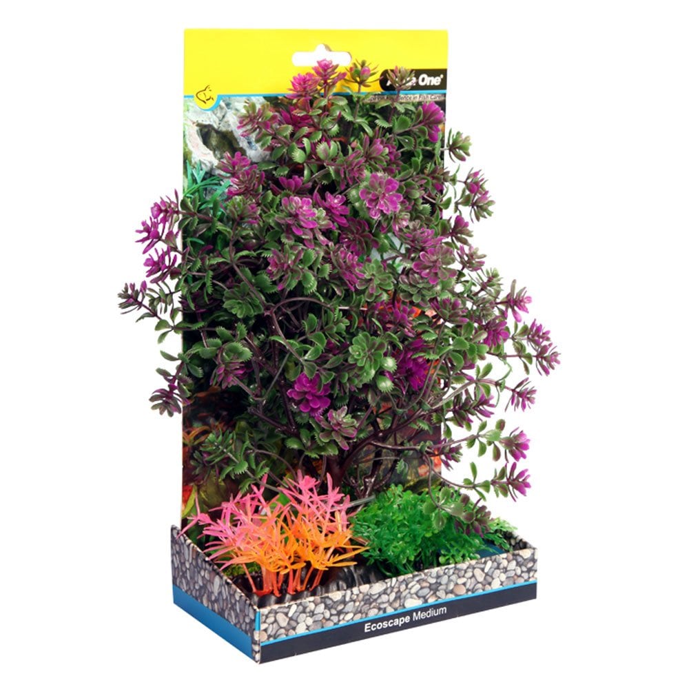 Ecoscape Purple Catspaw Tree 24cm
