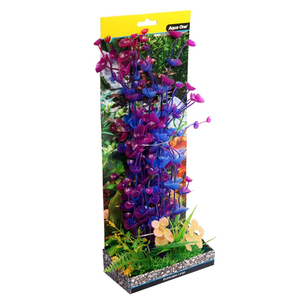 Ecoscape Purple Ogris Auribus 30cm