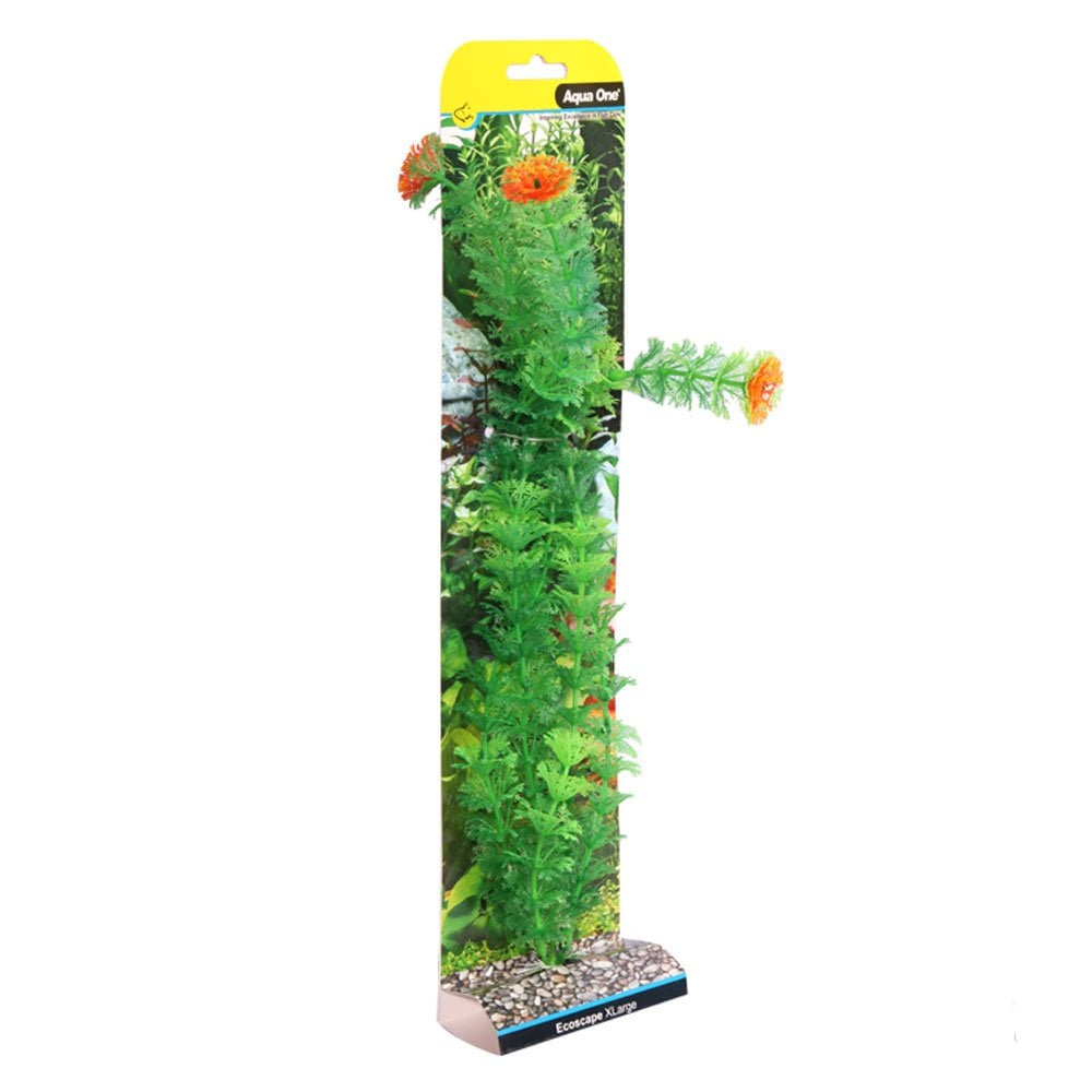 Ecoscape Green Ambulia 40cm