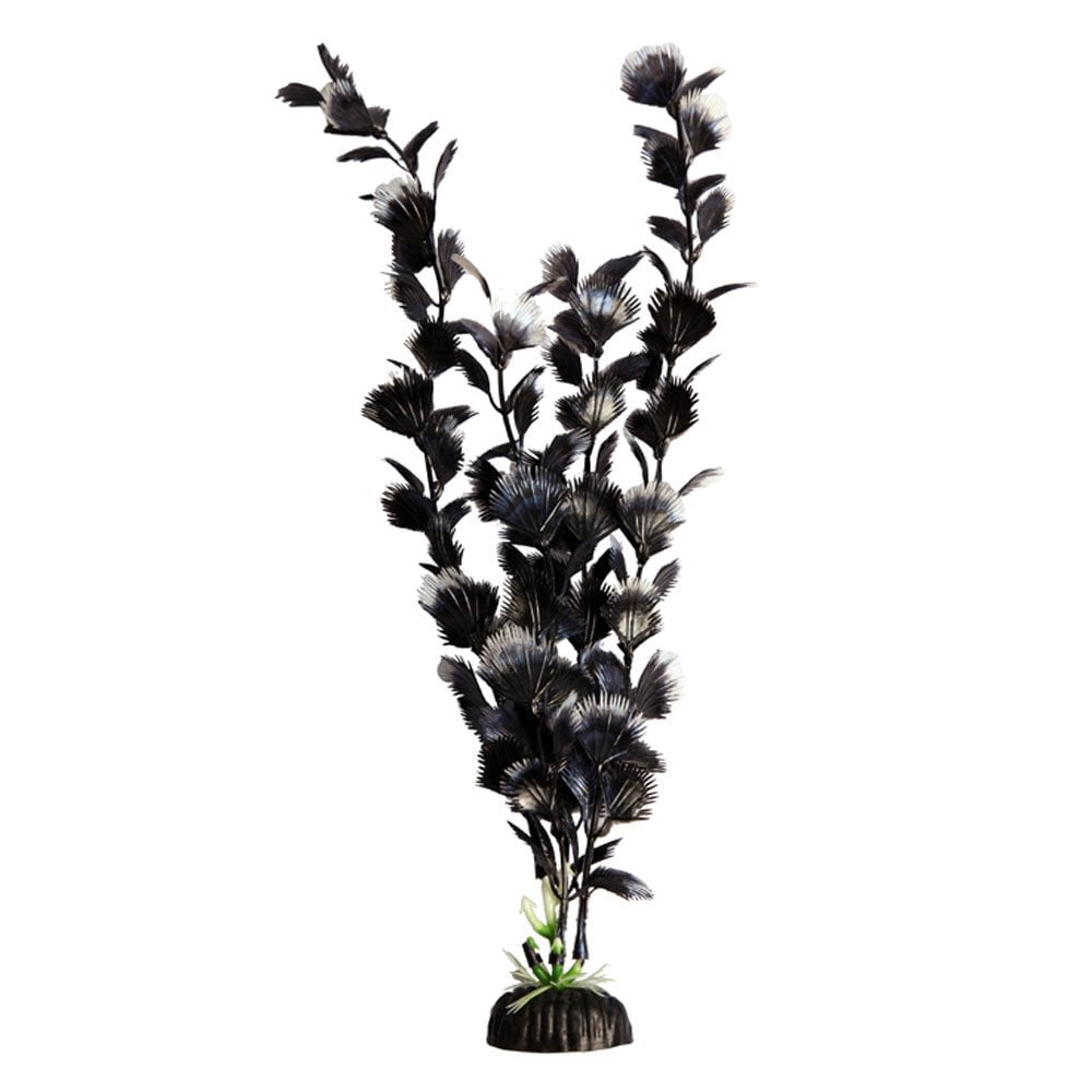 Brightscape Black Fan Palm 40cm