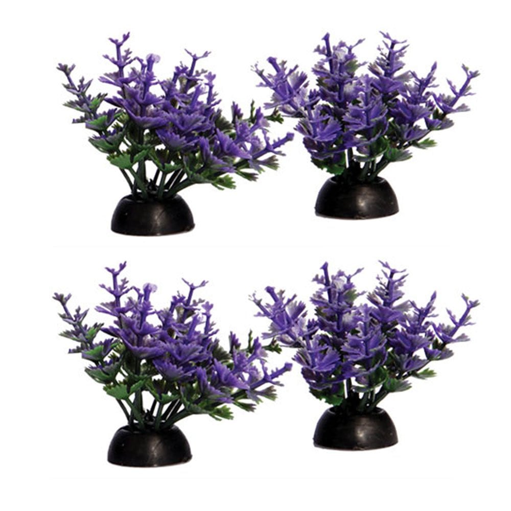 Ecoscape Foreground Purple Catspaw (4pk)