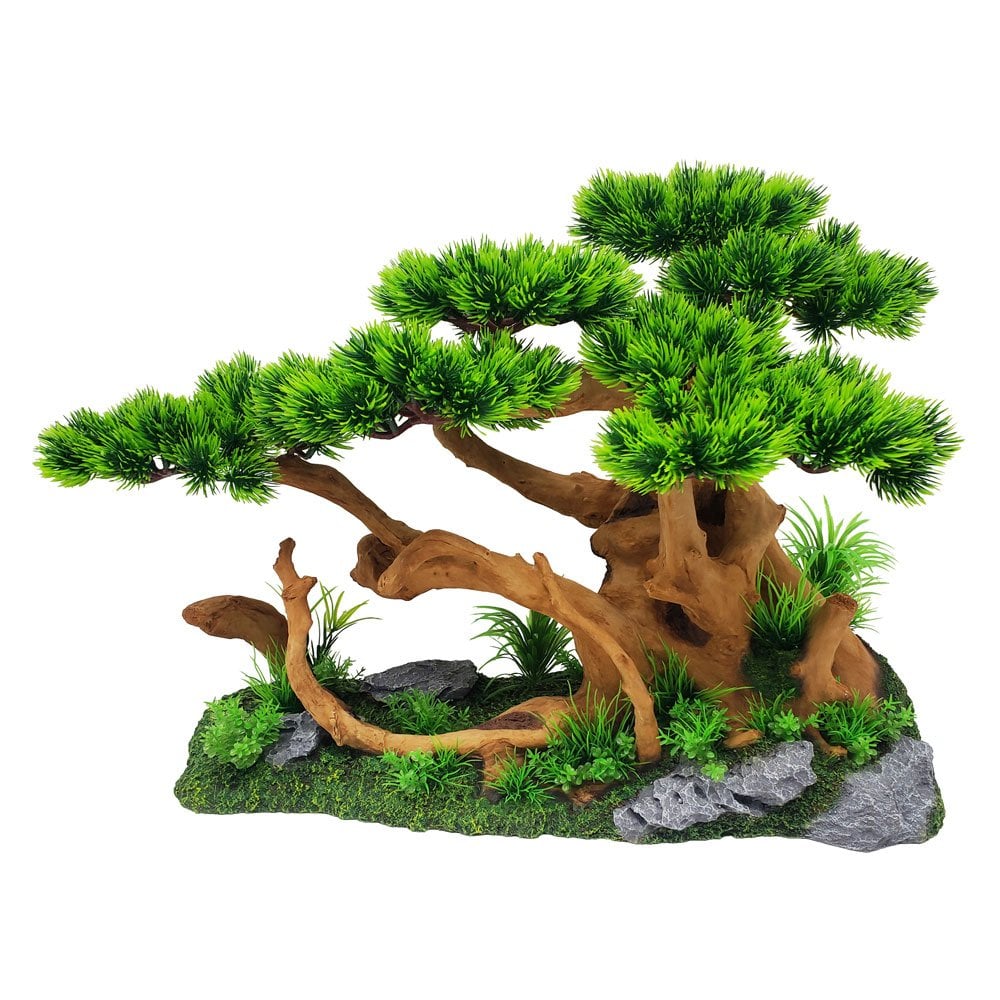 Bonsai Tree On Rock Garden
