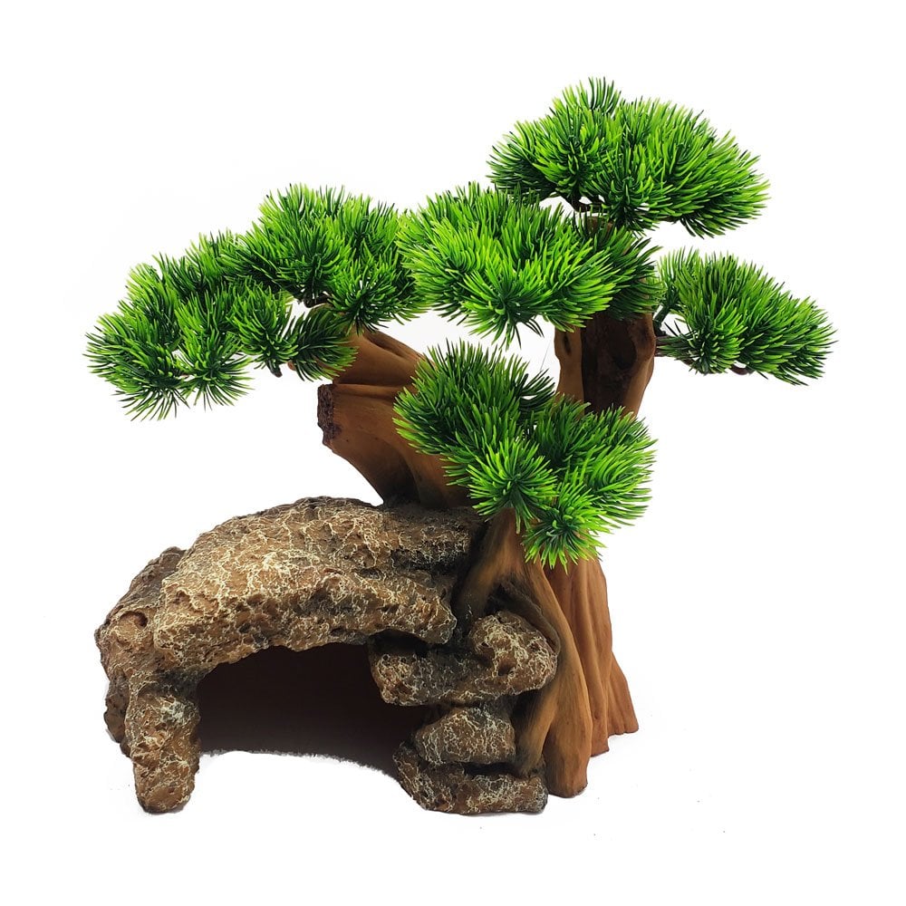 Bonsai Tree With Rock Cave