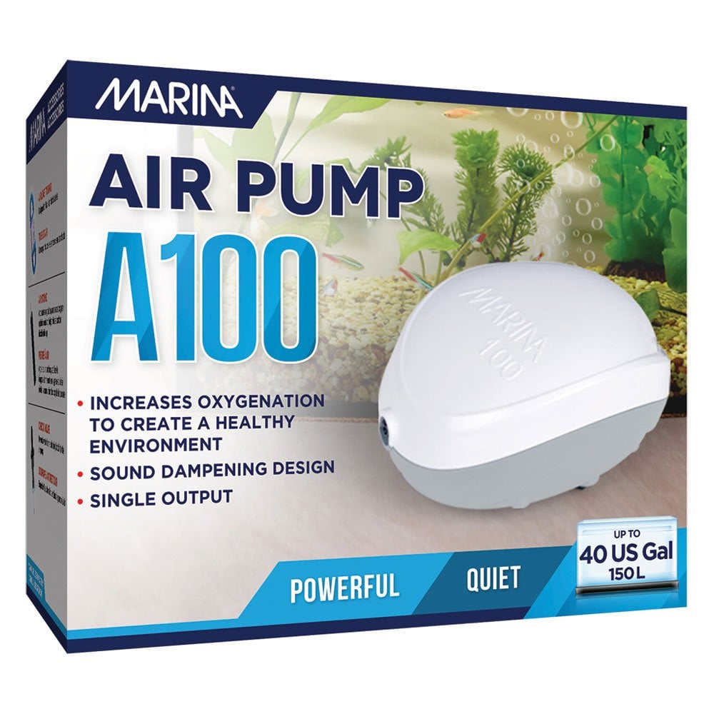 100 Air Pump